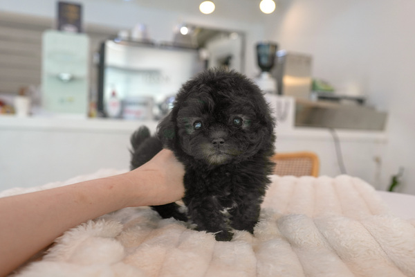 테스트리스트1.jpg
