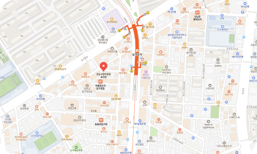 호야캣 서울 강남점