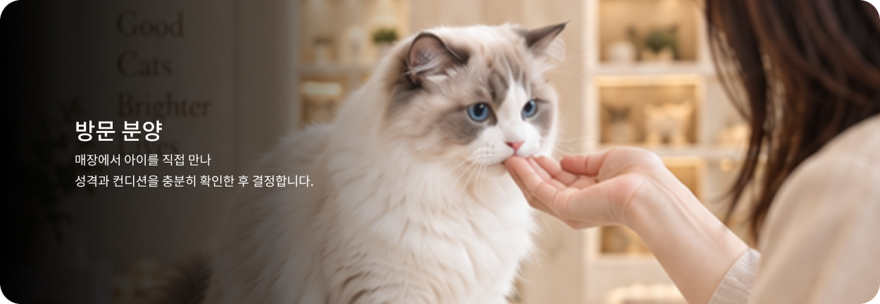 방문 분양