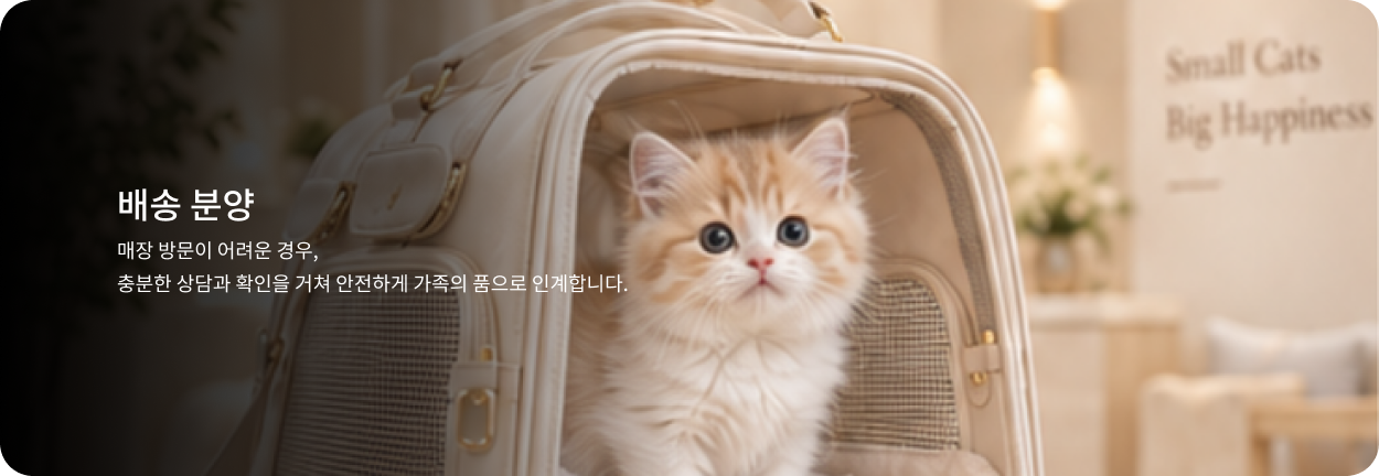배송 분양